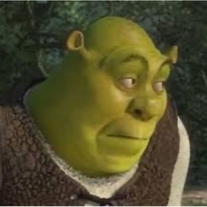 Meet your Posher, Sarai